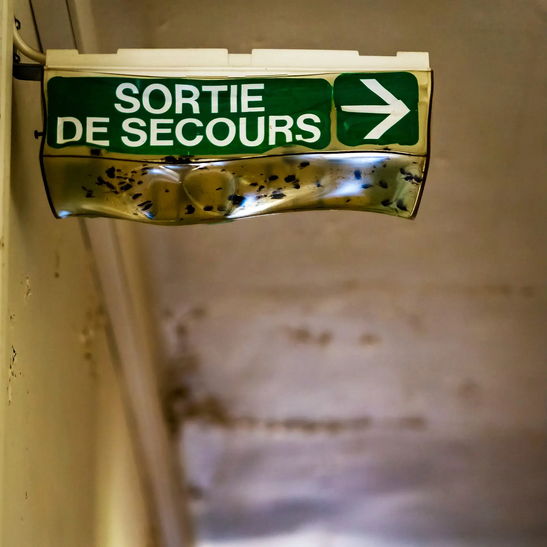 photographe-benoit-vaineau-8